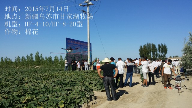 2015年7月14日烏蘇市甘家湖牧場棉花作業(yè)