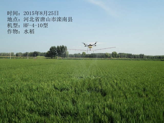2015年8月25日灤南水稻作業(yè)