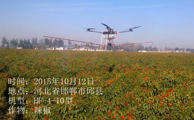 2015年10月12日省市邱縣辣椒作業(yè)